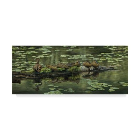 Trademark Fine Art John Morrow 'In A Row' Canvas Art, 20x47 ALI21218-C2047GG